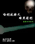 《哈利波特之暗黑荷利》小说封面