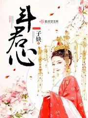 《斗君心》小说封面