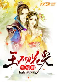 《玉砌花光锦绣明》小说封面