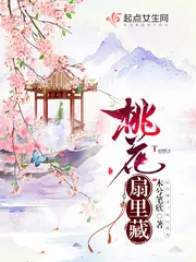 《桃花扇里藏》小说封面