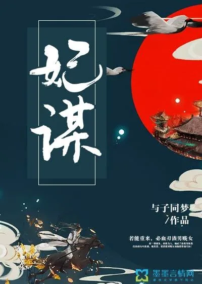 《妃谋》小说封面