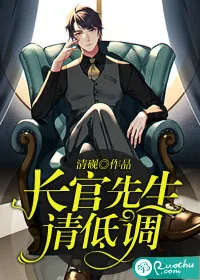 《长官先生，请低调》小说封面
