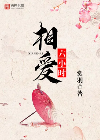《相爱六小时》小说封面