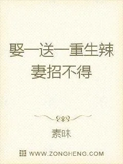 《娶一送一：重生辣妻招不得》小说封面