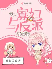 《寡妇与反派》小说封面