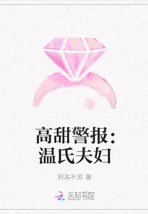 《高甜警报：温氏夫妇》小说封面