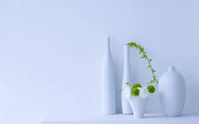 《尘境心影录》小说封面