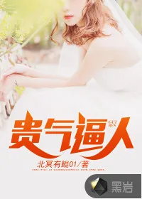 《贵气逼人》小说封面