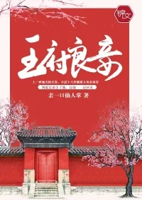 《王府良妾》小说封面