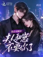 《陆总请跪好,夫人和崽不要你了》小说封面