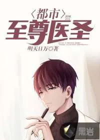 《都市至尊医圣》小说封面