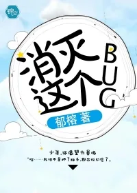 《消灭这个bug》小说封面