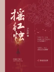 《摇红烛》小说封面