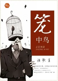 《笼中鸟》小说封面