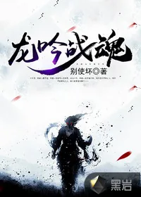 《龙吟战魂》小说封面
