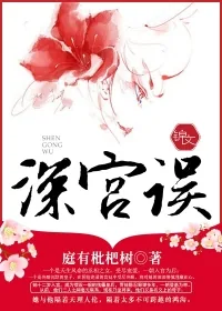 《深宫误》小说封面