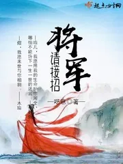 《将军请接招》小说封面