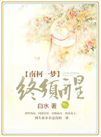 《南柯一梦终须醒》小说封面