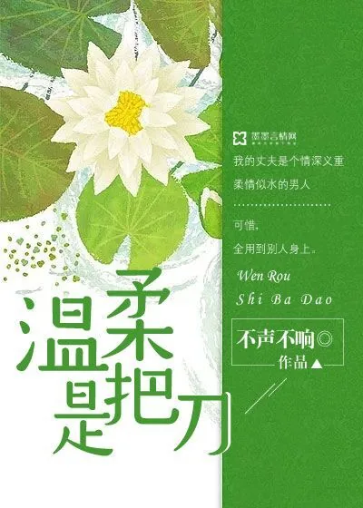 《温柔是把刀》小说封面