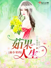 《茹小果的茹果人生》小说封面
