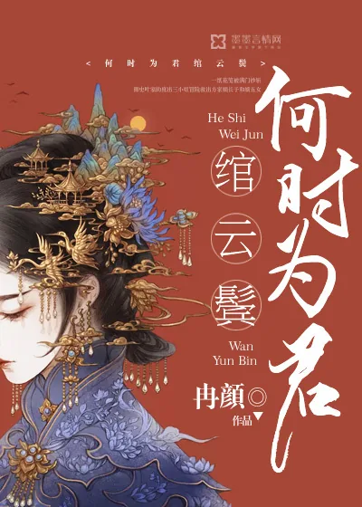 《何时为君绾云鬓》小说封面