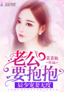 《辰少宠妻无度：老公要抱抱》小说封面