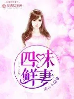 《四味鲜妻》小说封面