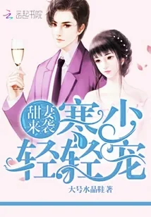 《甜妻来袭：寒少，轻轻宠》小说封面