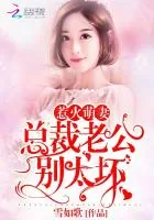 《惹火萌妻：总裁老公，别太坏！》小说封面