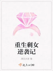 《重生剩女逆袭记》小说封面