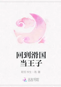 《回到滑国当王子》小说封面
