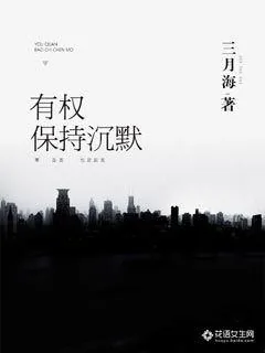 《有权保持沉默》小说封面