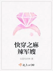 《快穿之麻辣军嫂》小说封面