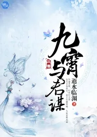 《九霄与君谋》小说封面