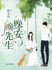 《顾先生，晚安！》小说封面