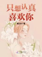《只想认真喜欢你！》小说封面