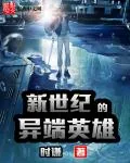 《新世纪的异端英雄》小说封面