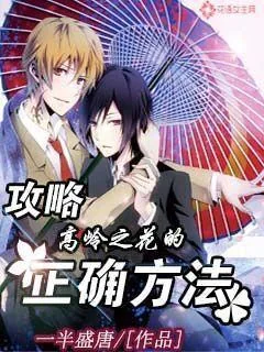 《攻略高岭之花的正确方法》小说封面