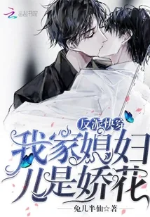 《反派快穿:我家媳妇儿是娇花》小说封面