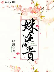 《姝途同贵》小说封面