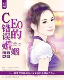 《24K纯爱：CEO的错误婚姻》小说封面