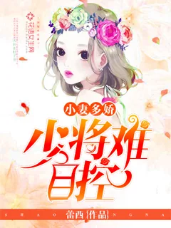 《小妻多娇:少将难自控》小说封面