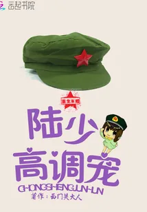 《重生军婚：陆少高调宠》小说封面