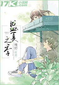 《盛夏之季》小说封面