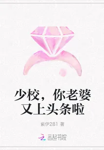 《少校，你老婆又上头条啦》小说封面