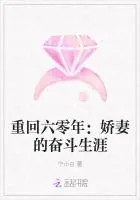 《重回六零年：娇妻的奋斗生涯》小说封面