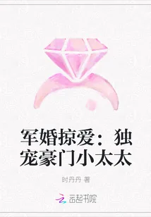 《军婚掠爱：独宠豪门小太太》小说封面