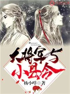 《大将军与小县令》小说封面
