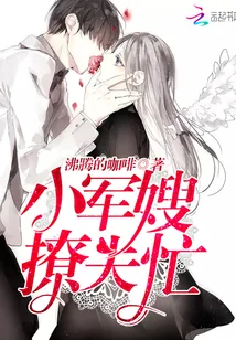 《小军嫂，撩夫忙》小说封面