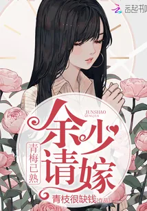 《青梅已熟，余少请嫁》小说封面